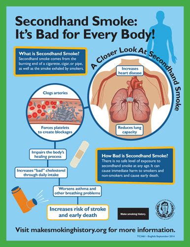 Secondhand Smoke Infographic Massachusetts Health Promotion Clearinghouse