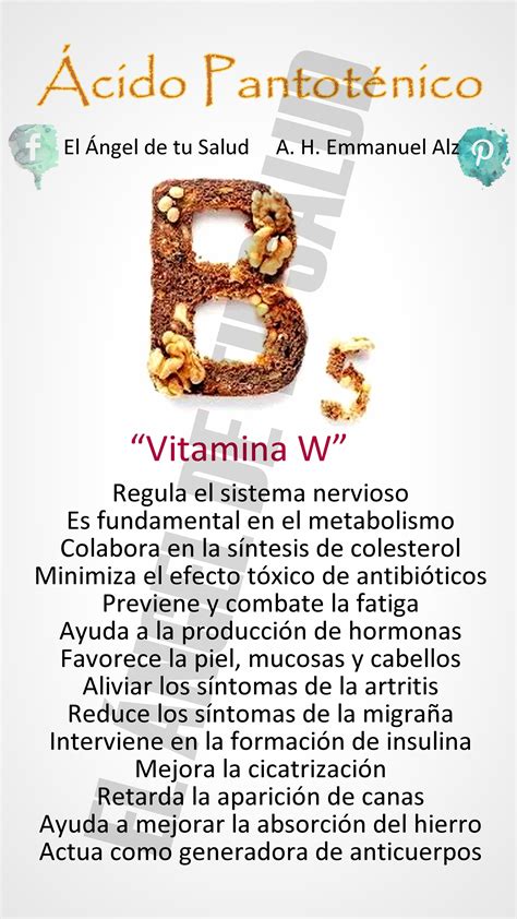 Beneficios Ácido Pantoténico Vitamina B5 En 2020 Vitamina E
