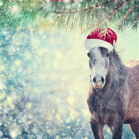 Caballo Rojo En El Sombrero De Papá Noel En Fondo De La Navidad Con El