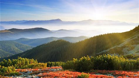 Sunrise Forest Mountains Wallpapers Hd Wallpapers Id 18140