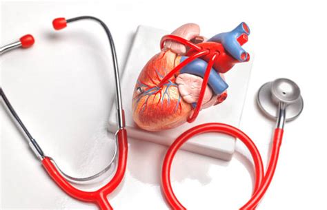Does Cardiovascular Disease Impact Men S Health