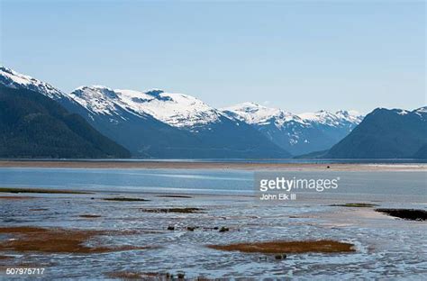Elk River British Columbia Photos And Premium High Res Pictures Getty