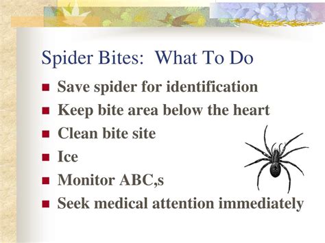 Ppt Animal And Insect Bites And Stings Powerpoint Presentation Id6991261