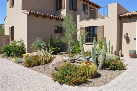 16 Cactus Garden Designs Ideas Design Trends Premium