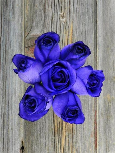 Wholesale Purple Tinted Roses Delivered Online Flowerfarm