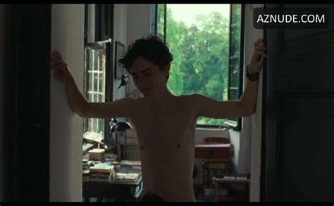 Armie Hammer Timothee Chalamet Sexy Scene In Call Me By Your Name Aznude Men
