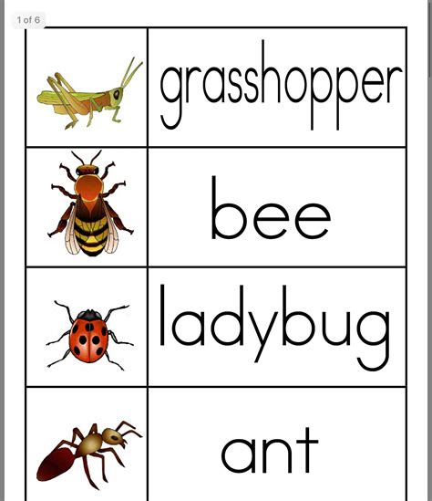 Insect Lesson Plan For Toddlers