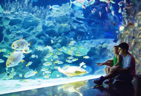 The aquaria klcc opens daily from 10 am to 8 pm and the last admission is at. 14-daagse familiereis West-Maleisië kampungs, thee en ...