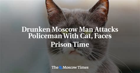 moscow man attacks policeman with cat faces prison time