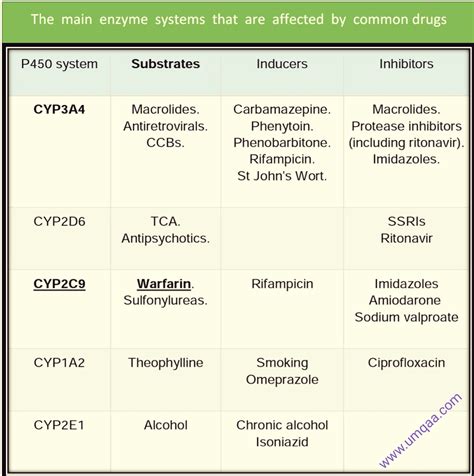 What Are The P450 Inhibitor And Inducer Drugs