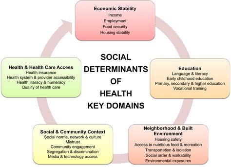 Ppt The Determinants Of Health Getting To The Root Sexiezpix Web Porn
