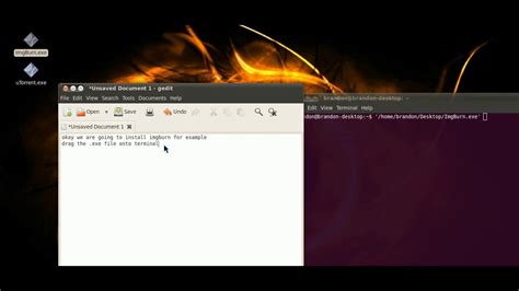 Install Exe On Ubuntu Youtube