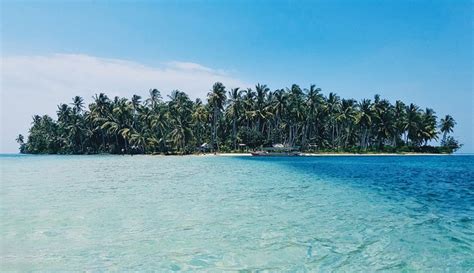 Dreaming about being surrounded by flowers. Island - Dream Meaning and Symbolism