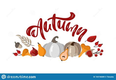 Autumn Vector Calligraphy Lettering Text Banner In Frame Fall Leaves