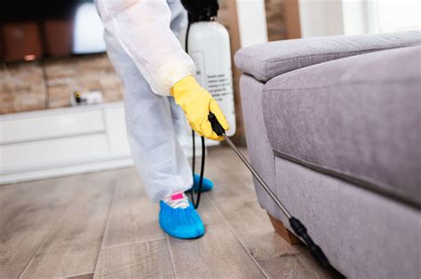 A genuine qualified and professional family owned and ran business, we cover all commercial and domestic properties in. GOODFELLAS PEST EXTERMINATION, INC. | Pest Control ...