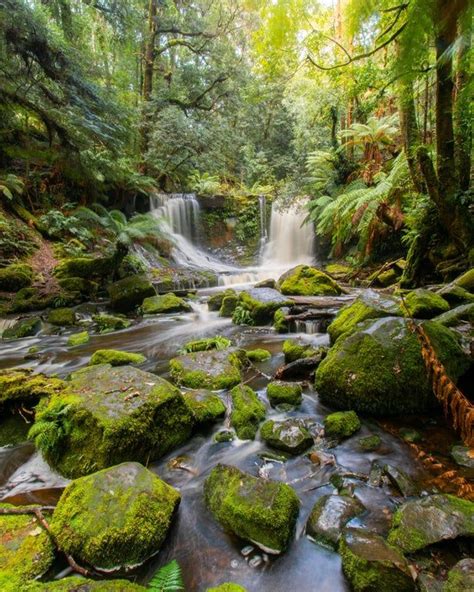 Beautiful Shades Of Green At Horseshoe Falls Inside One Of Tasmanias