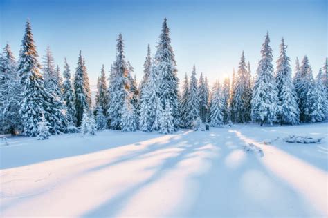 7811900 Winter Stock Photos Pictures And Royalty Free Images Istock