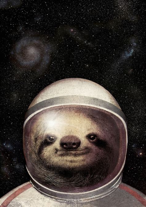 Space Sloth By Eric Fan Redbubble