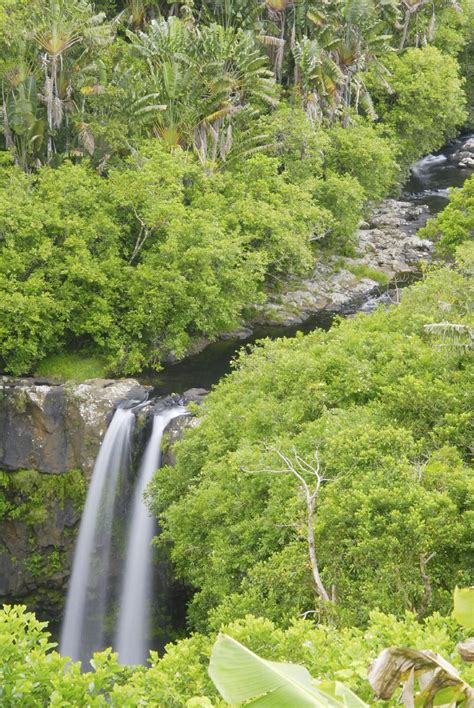 Check spelling or type a new query. Flittern auf Mauritius | Cosmic Hochzeitsreisen