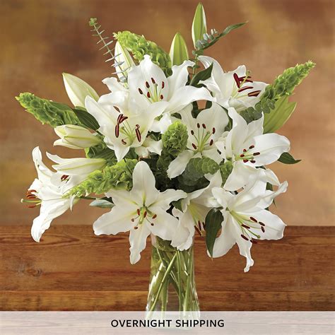 White Lily Bouquet Flower Bouquets Flower Delivery Harry And David