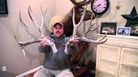 How To Score A Mule Deer Shed Antler These Incredible Sheds Were