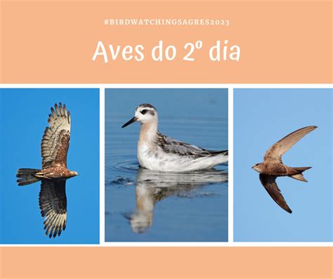 14th Birdwatching And Nature Activities Festival