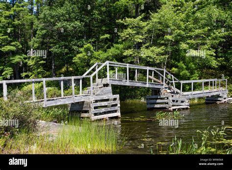 Broken And Rickety Wooden Bridge Over The River In The Forest Stock