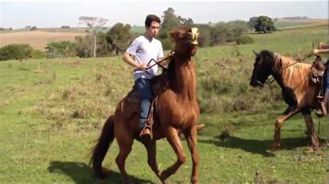 Beto Carreiro E Faisca Como Empinar O Cavalo Youtube