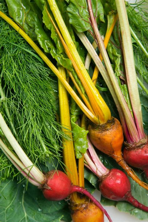 Recipes Using Root Vegetables | ThriftyFun