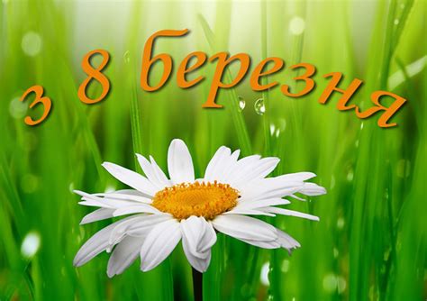 Виберете найкращі листівки до 8 березня російською та українською мовою. Листівки з 8 березня