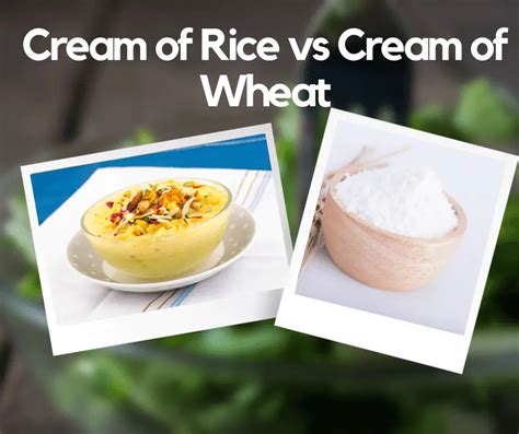 Cream Of Rice Vs Cream Of Wheat Whats The Difference Rice Cream Shoppe