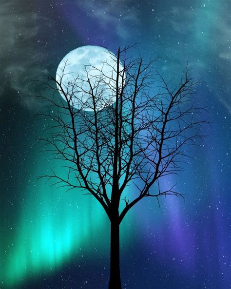 Blue Moon Teal Northern Lights Wall Art Photo Print Tree Stars Sky Home
