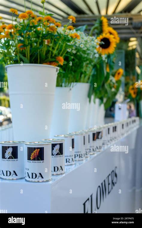 Prada Hands Out Marigold Sunflower And Daisy Seeds In Notting Hill