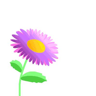 Their sight is a delight forever. Animated Flower Pictures - ClipArt Best