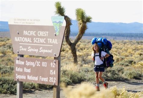 Wild Reese Witherspoon Hike Pacific Crest Trail Guia Do Estrangeiro