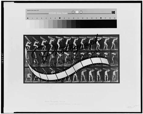 Animal Locomotionnude Womanbedphotography Investigatione Muybridge