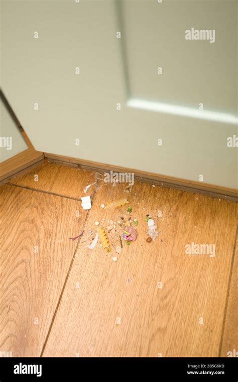 Dropped Food And Rubbish Swept Into Corner Of Kitchen Floor Stock Photo
