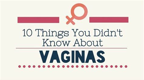 10 amazing facts about the vagina you never knew shallie s purple beehive