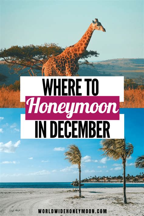 19 Best Honeymoon Destinations In December World Wide Honeymoon