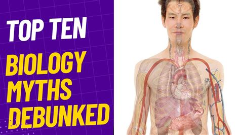 Top Ten Biology Myths Debunked Youtube