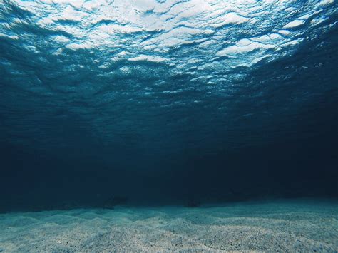 Дно океана без воды фото