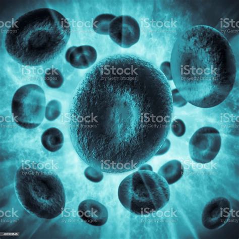 Red Blood Cells Stock Photo Download Image Now Anatomy Biological