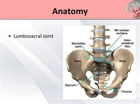 Ppt Lower Back Pain Powerpoint Presentation Free Download Id2120524