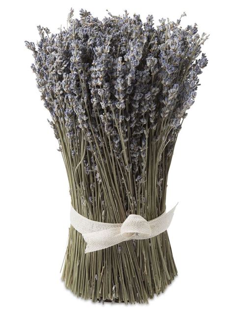 Dried Lavender Bunches Lavender Bundle Bundle Of Lavender Dried