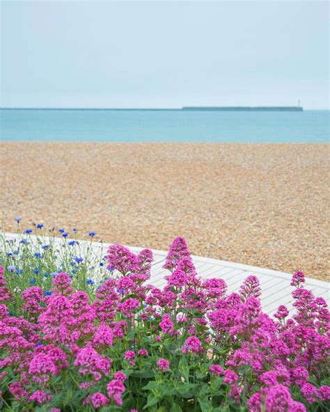 Beachside Scenery Of Blue Ocean And Flowers 8x10 11x14 Art Prints