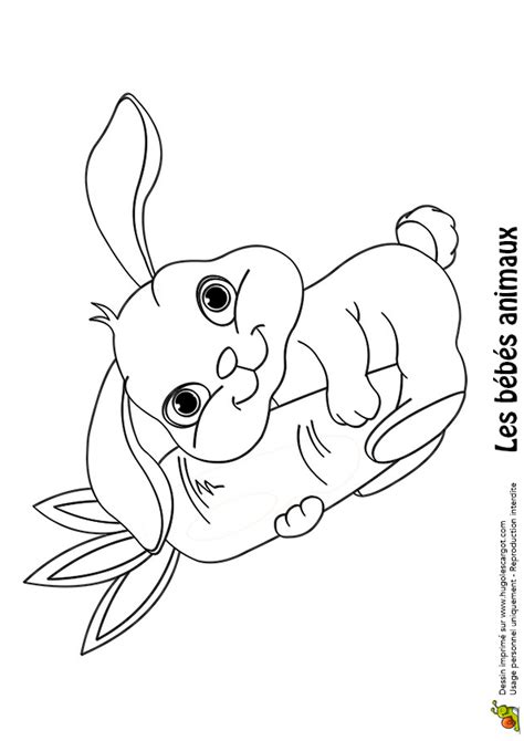 Coloriage Dun Bébé Lapin Qui Tient Une Grosse Carotte çocuklar Için