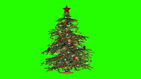 Green Screen Christmas Tree Youtube