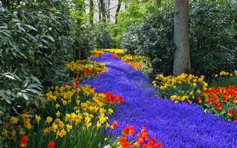 Beautiful Colorful Flowers Relaxing Nature In The Park Wallpaper Download 5120x3200