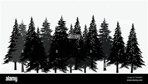 Pine Trees Vector Collection Nature Silhouette Landscape Spring
