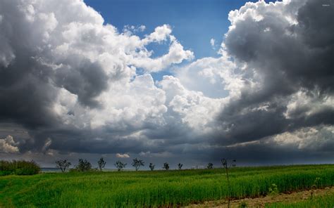 Cloudy field wallpaper - Nature wallpapers - #31604
